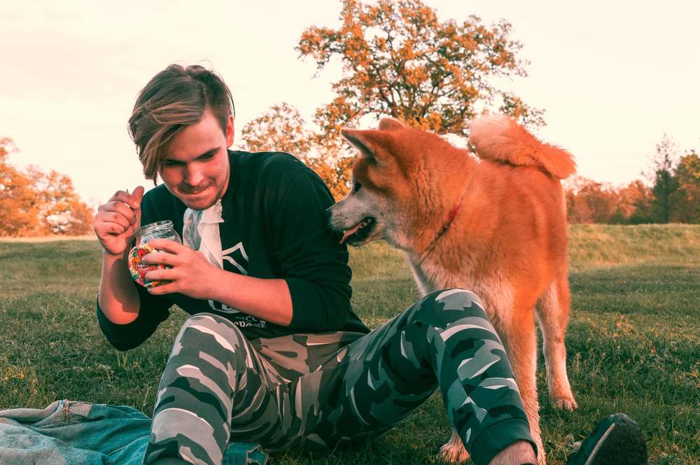 Фотография автора Полина Лебедева