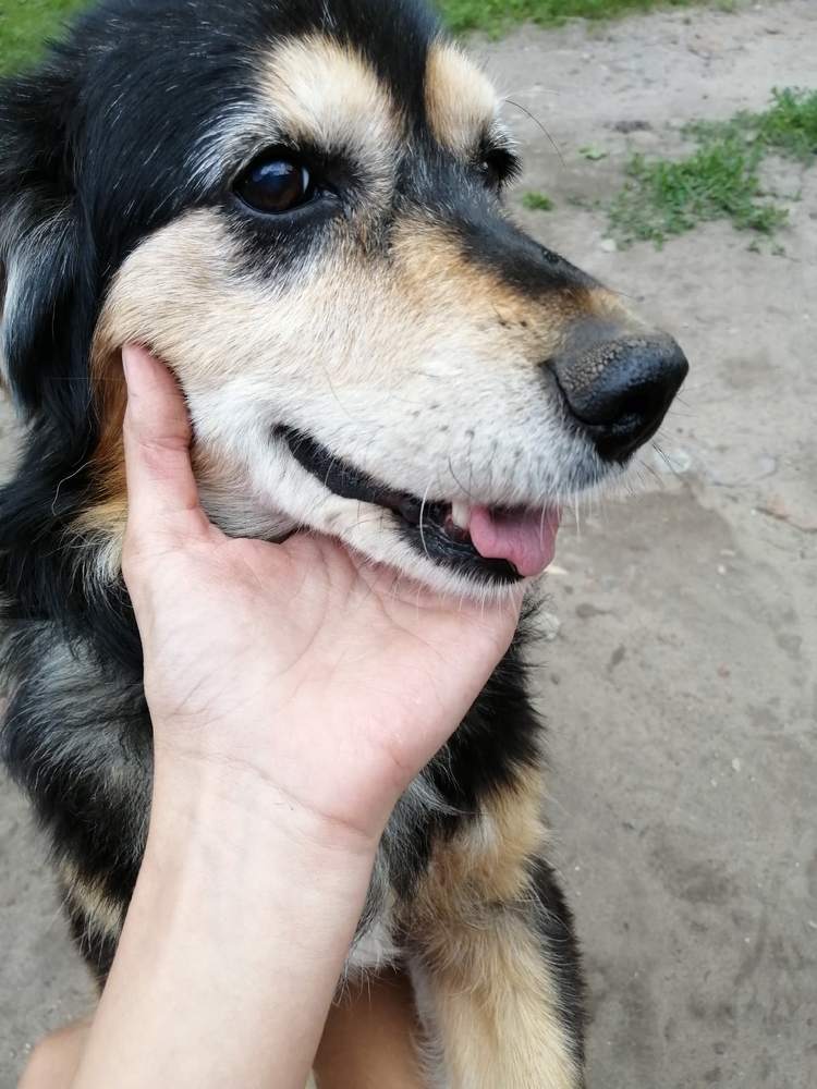 Photograph by Дильнора Кривенцева