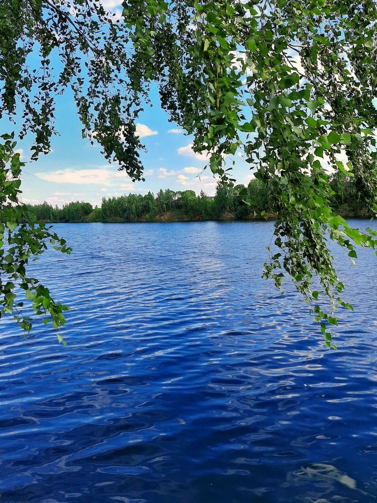 Photograph by Алина Голубева
