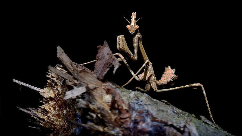 Photograph by Bekir Yesiltas