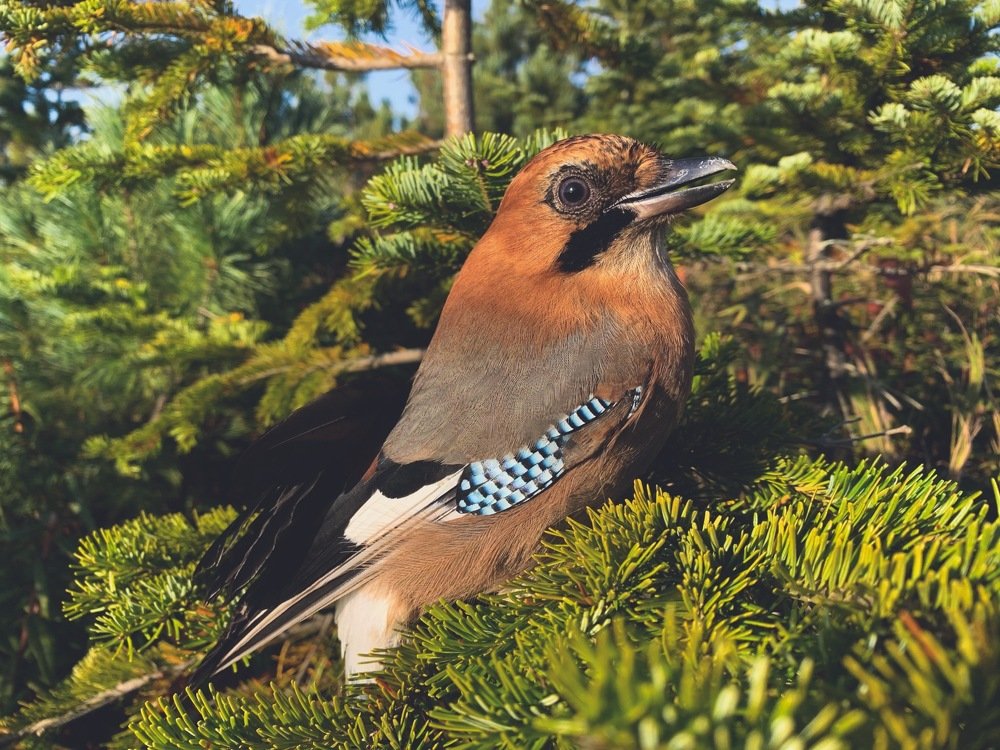 Photograph by Десятова Лика