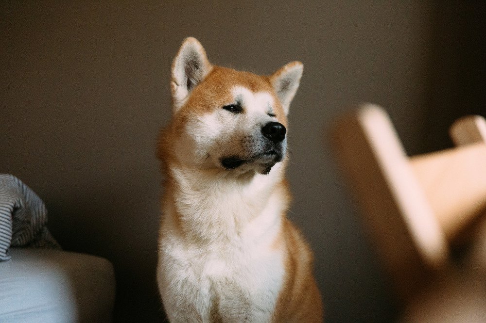 Photograph by Ленар Карим