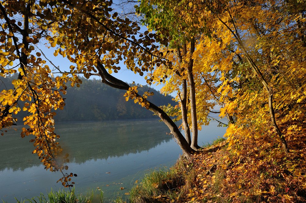 Осенний Тетерев.