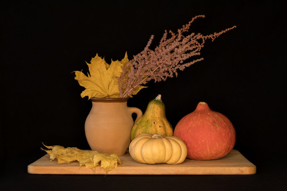 Фотография автора Елена Ельшина