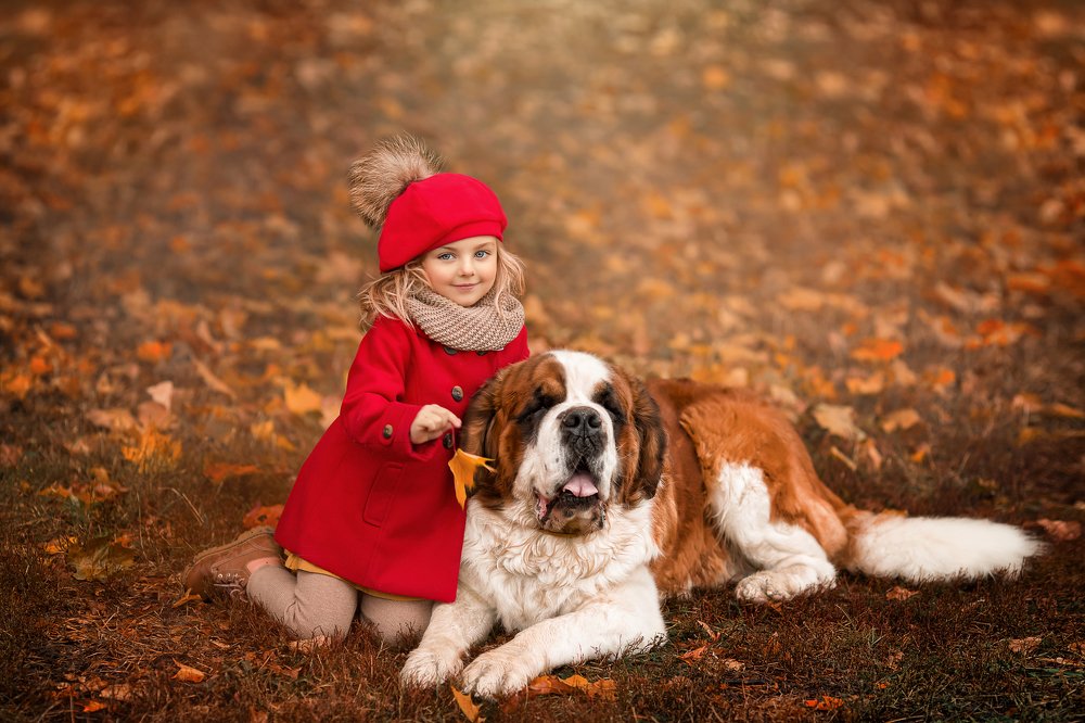 Photograph by Елена Грушецкая