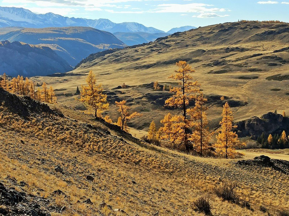 Photograph by Фурсова Людмила