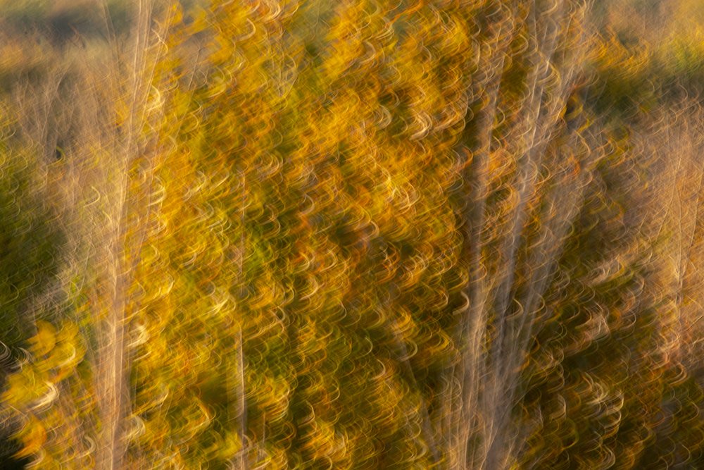 Photograph by mohamadreza shakibaei