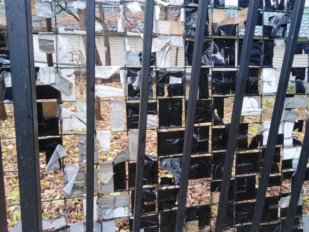 Photograph by Татьяна Ситникова