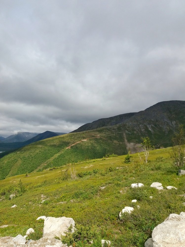 Photograph by Алина Голубева