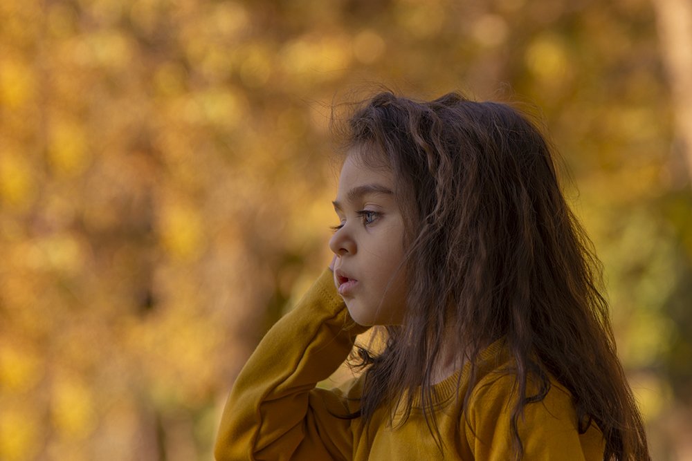 Photograph by mohamadreza shakibaei