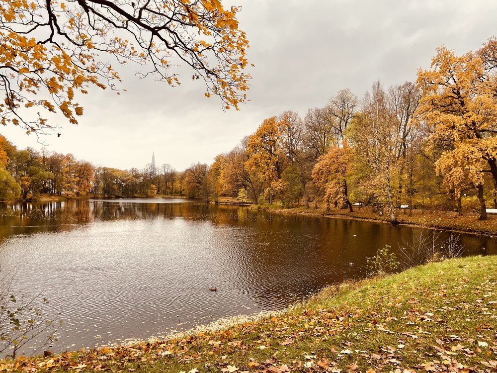 Photograph by Svetlana Reichenberger