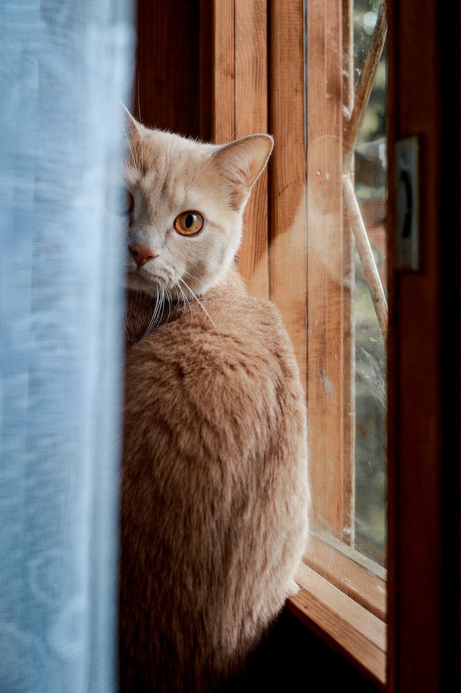 Photograph by Павел Шарапов