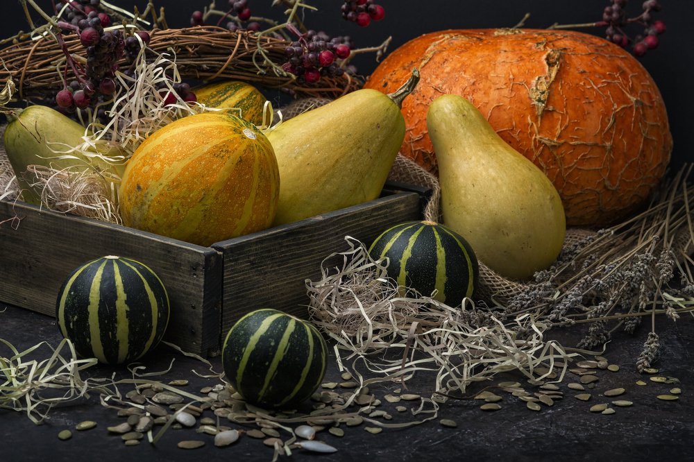 Фотография автора Дмитрий Герц