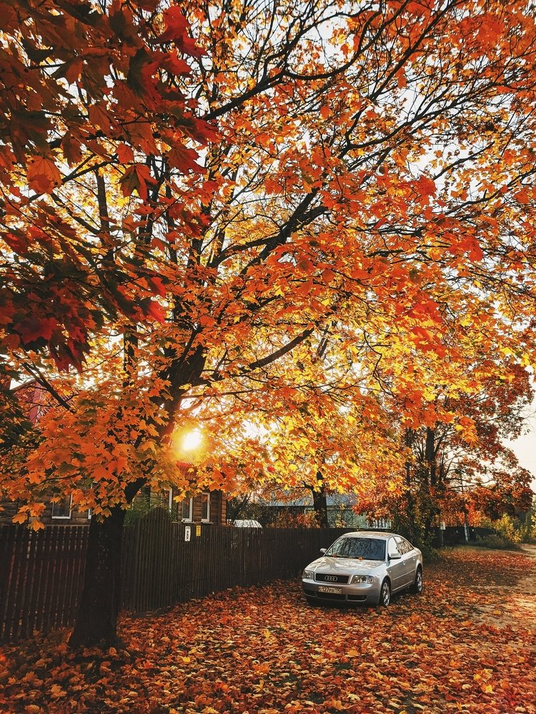 Photograph by Ilya Fedulov