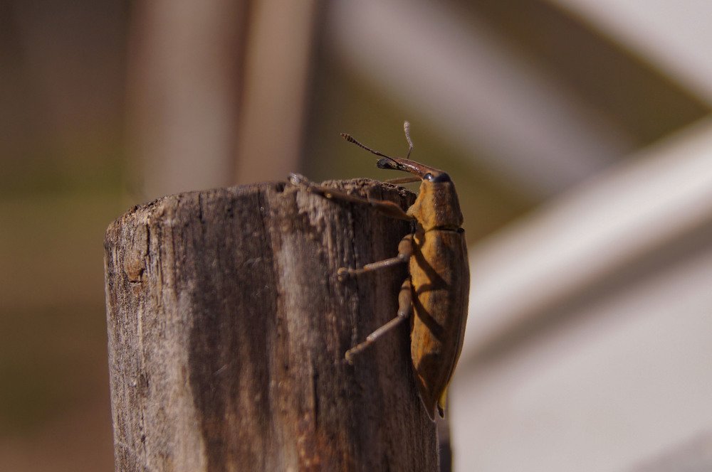 Photograph by Алексей Логинов