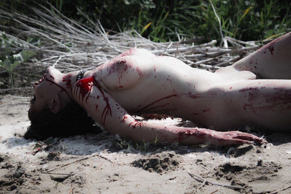 Фотография автора Екатерина Васильева