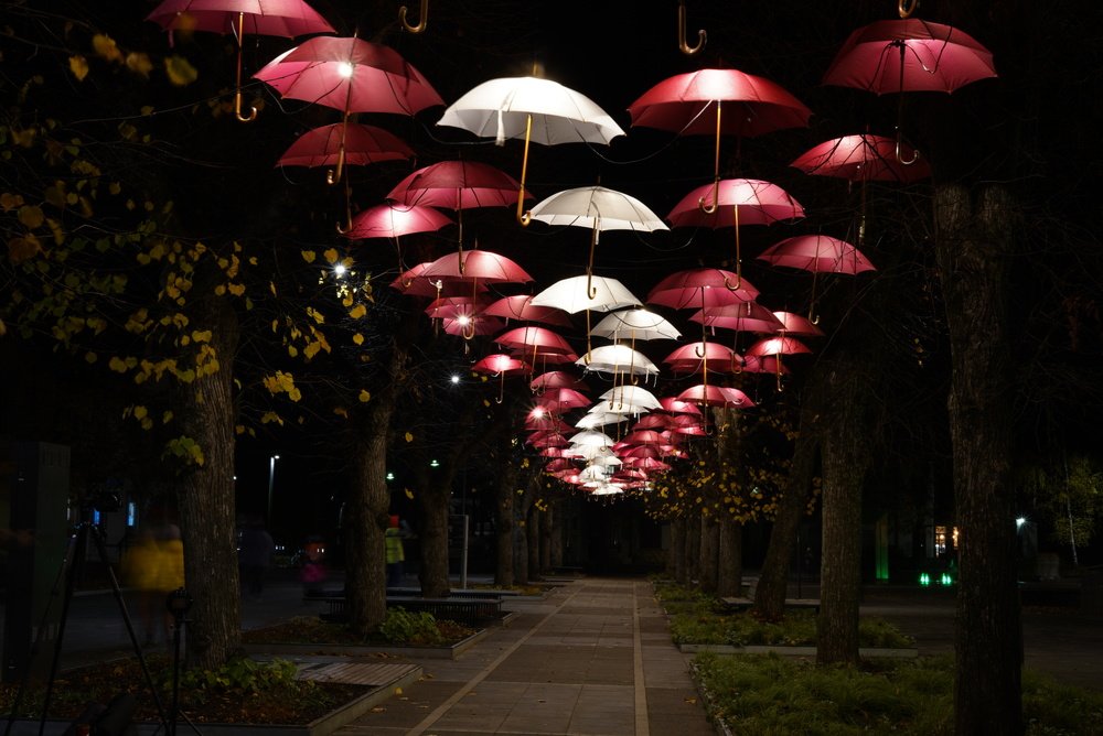 Photograph by Olga Zdančuka