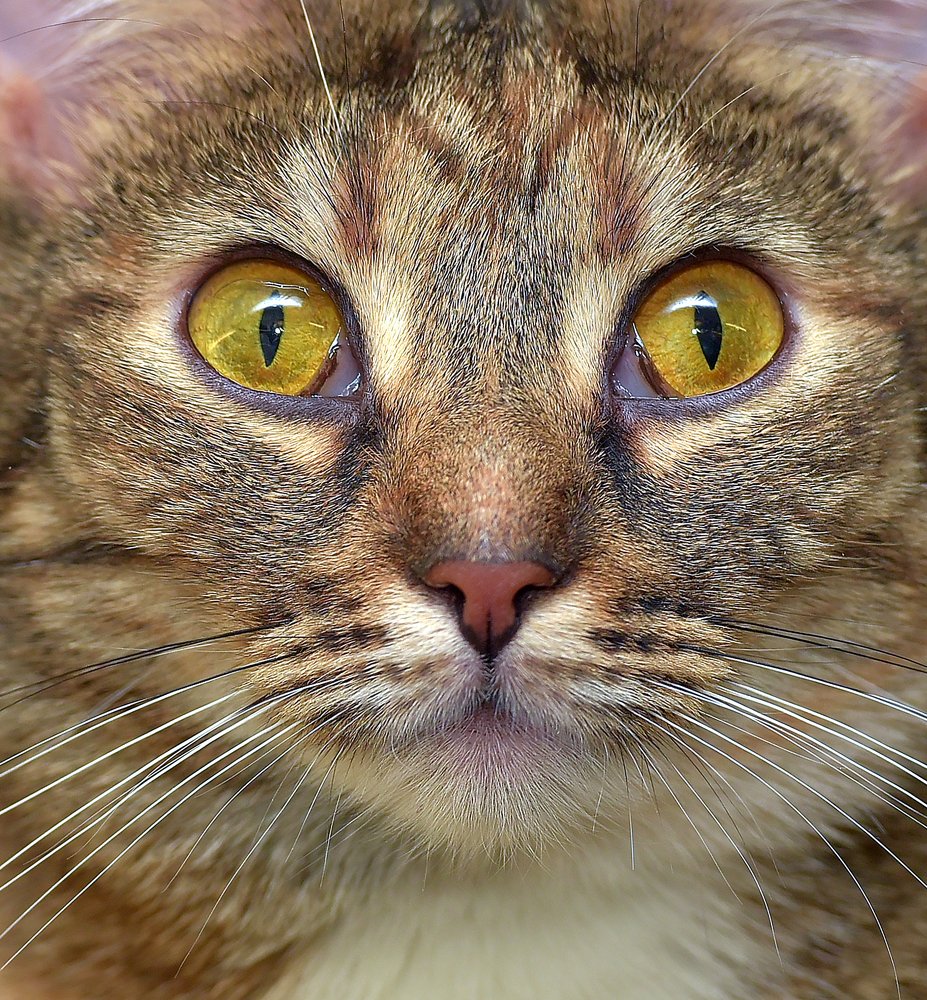 Photograph by Анна Кривицкая