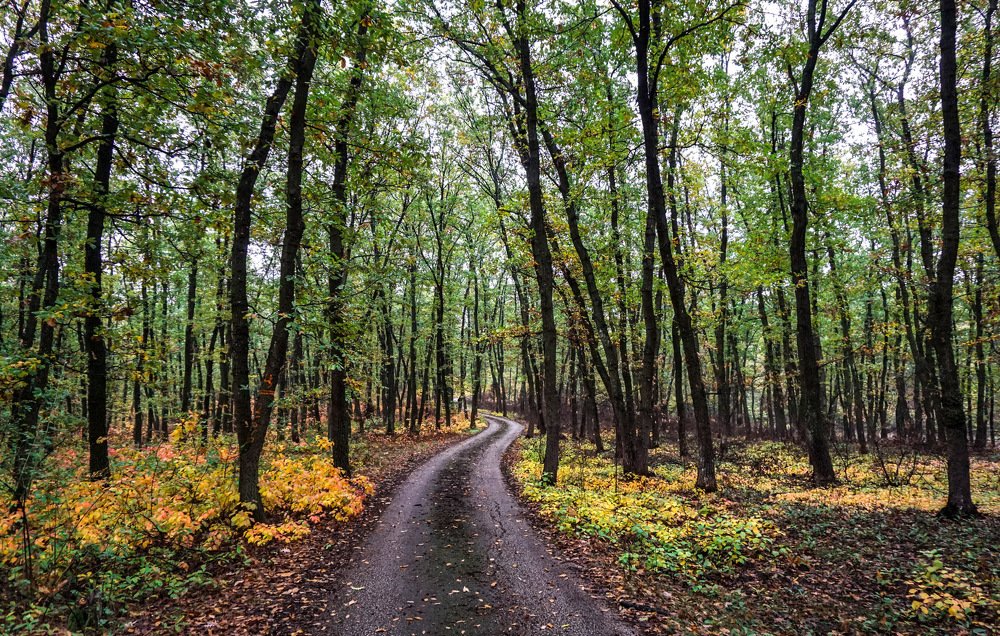 Photograph by Ави Христова