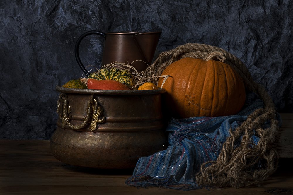 Фотография автора FATIH GONUL