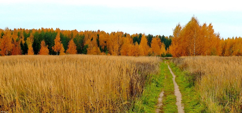 Осень.