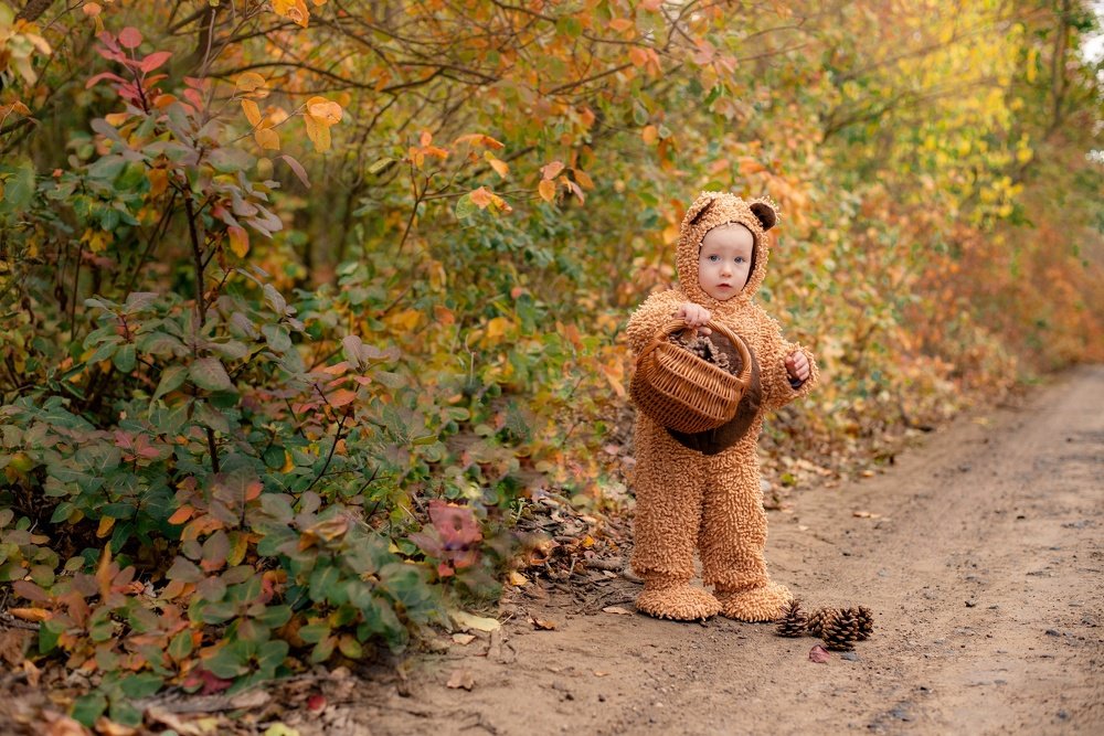 Мишка в лесу