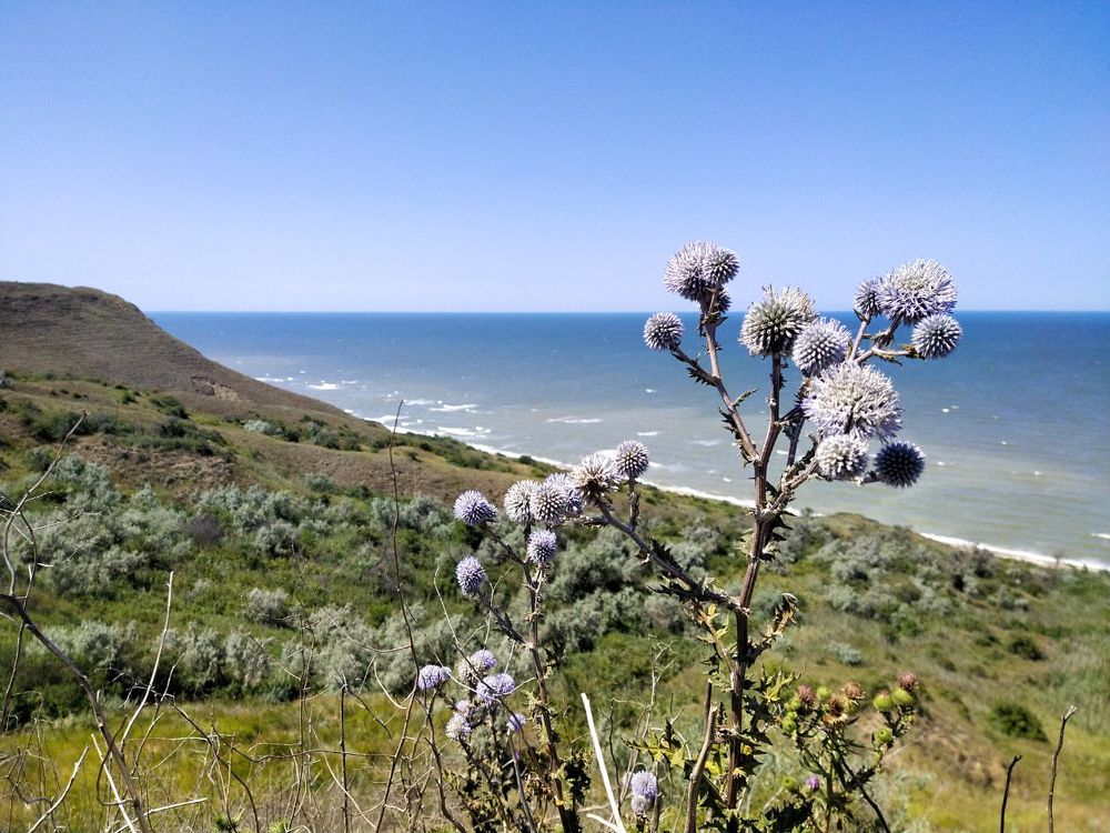 Photograph by Антонина Кузнецова