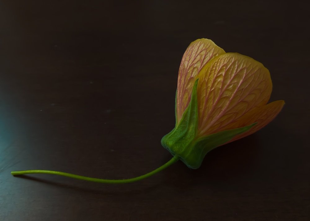 Photograph by Katerina Kanellopoulou