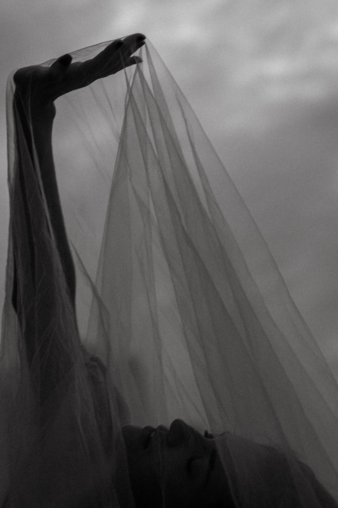 Photograph by Kate Bird