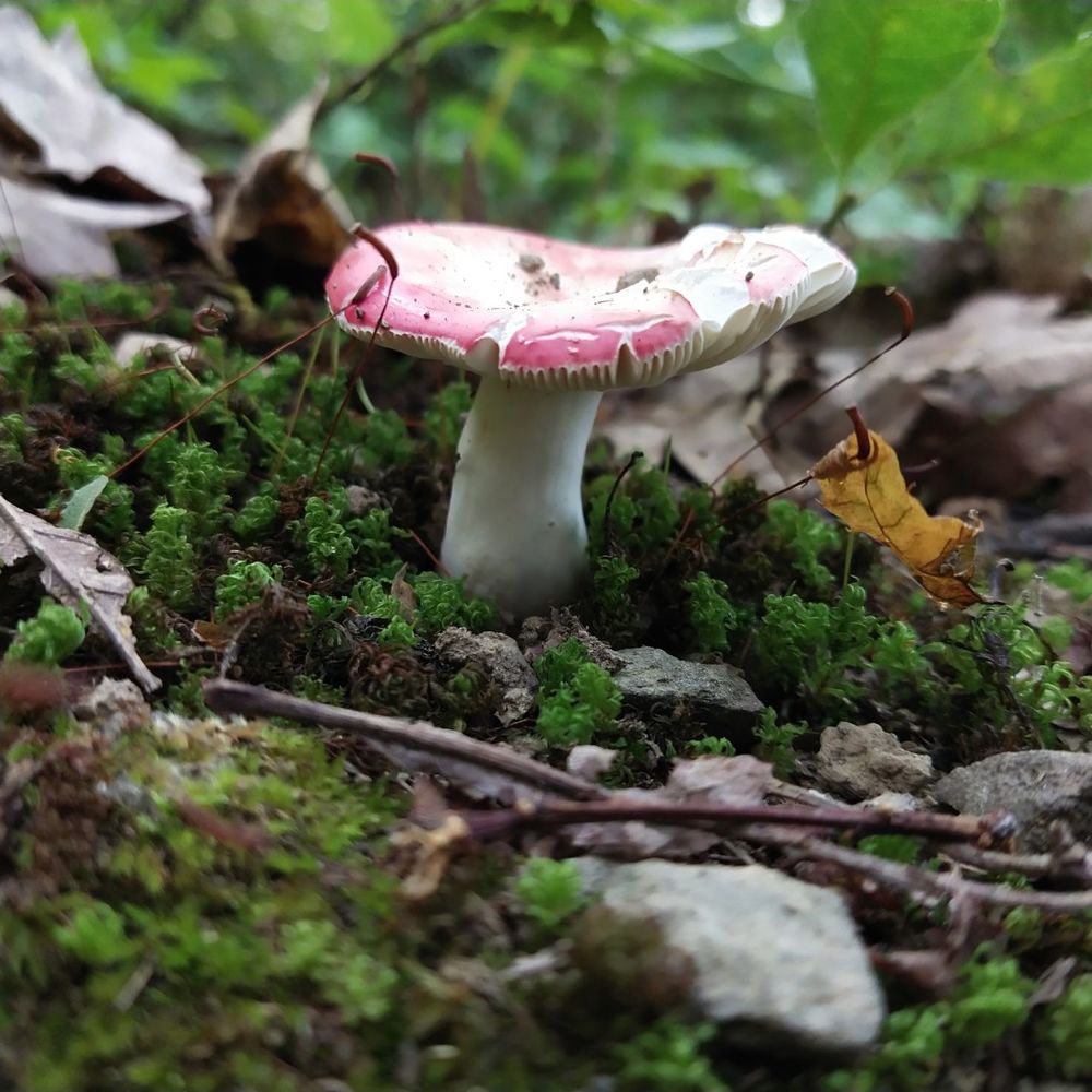 Photograph by Антонина Кузнецова