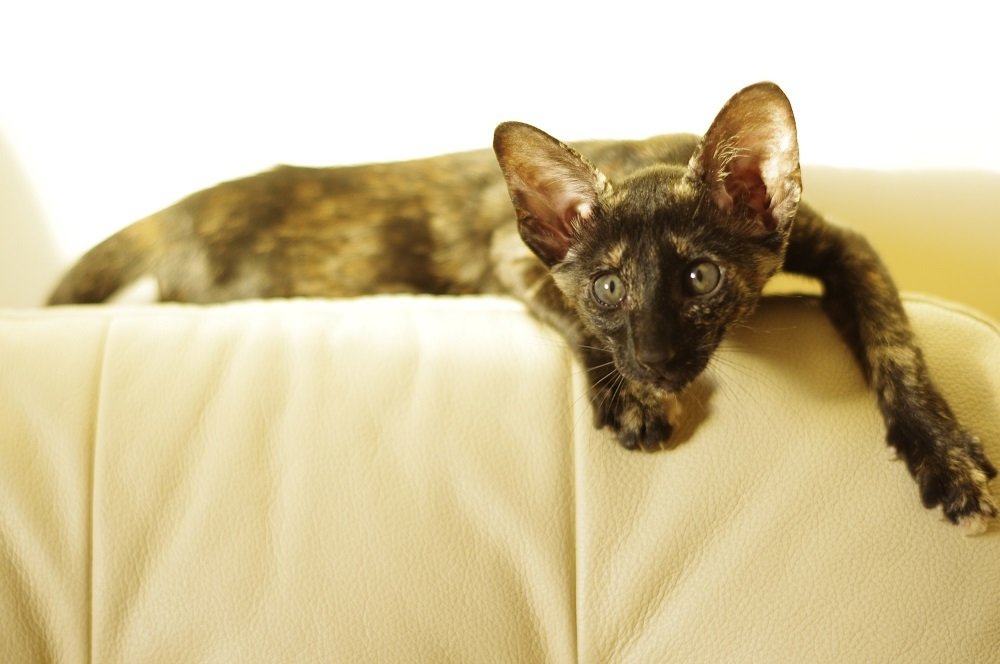 Photograph by Анна Глаговская