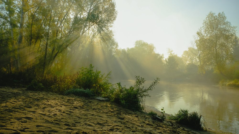 Photograph by Виталий Сизов