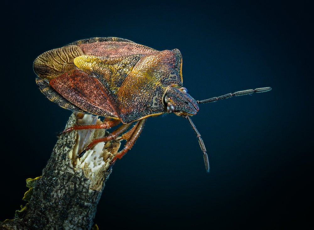 Photograph by савицкий олег