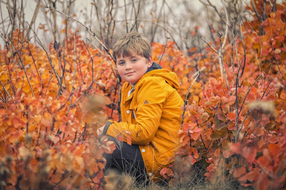 Photograph by Галина Ледок