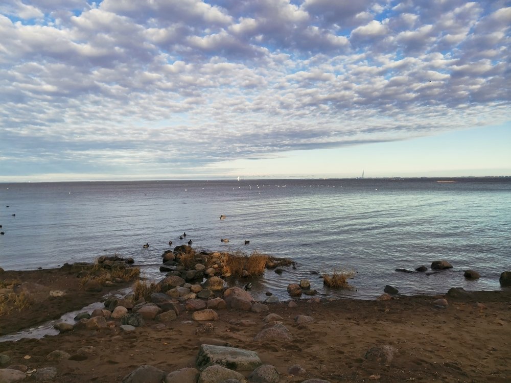 Photograph by Наталья