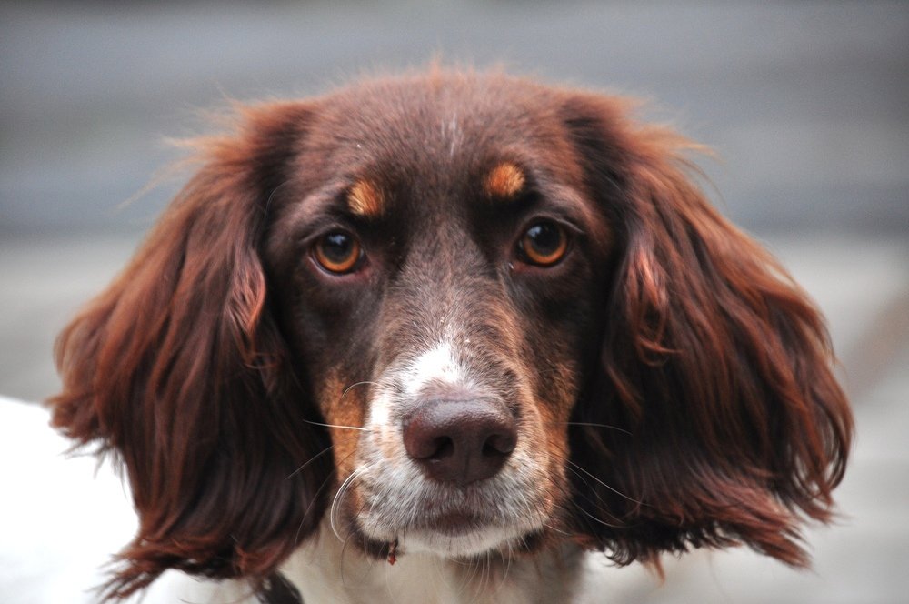 Photograph by Александр Дурасов