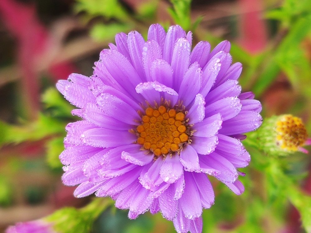 Photograph by Евгений Артемьев