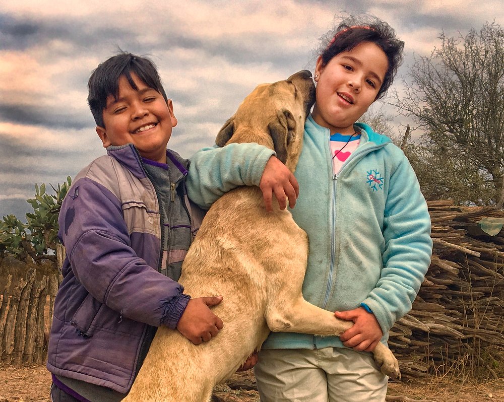 Photograph by Viviana García