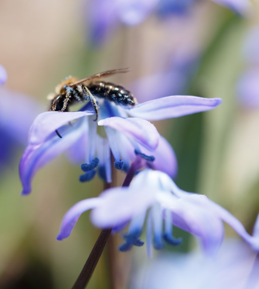 Photograph by Veronika Trubnikova