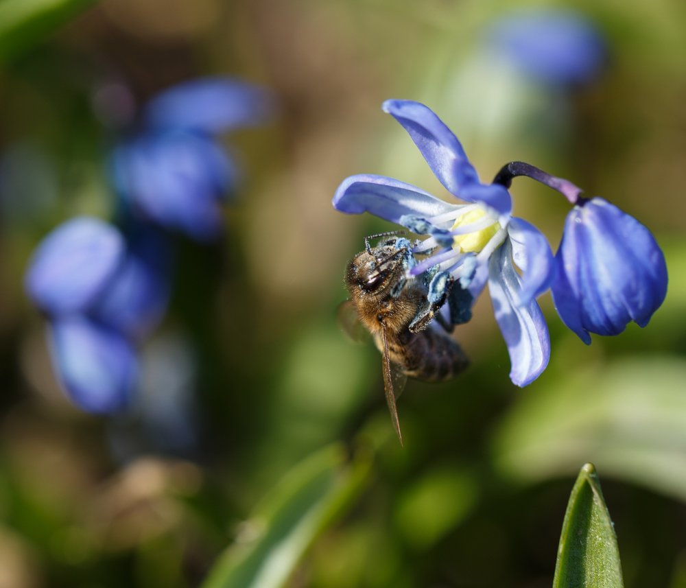 Photograph by Veronika Trubnikova