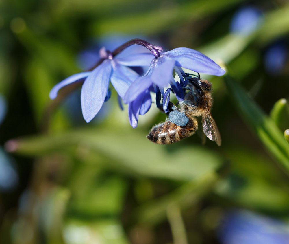 Photograph by Veronika Trubnikova