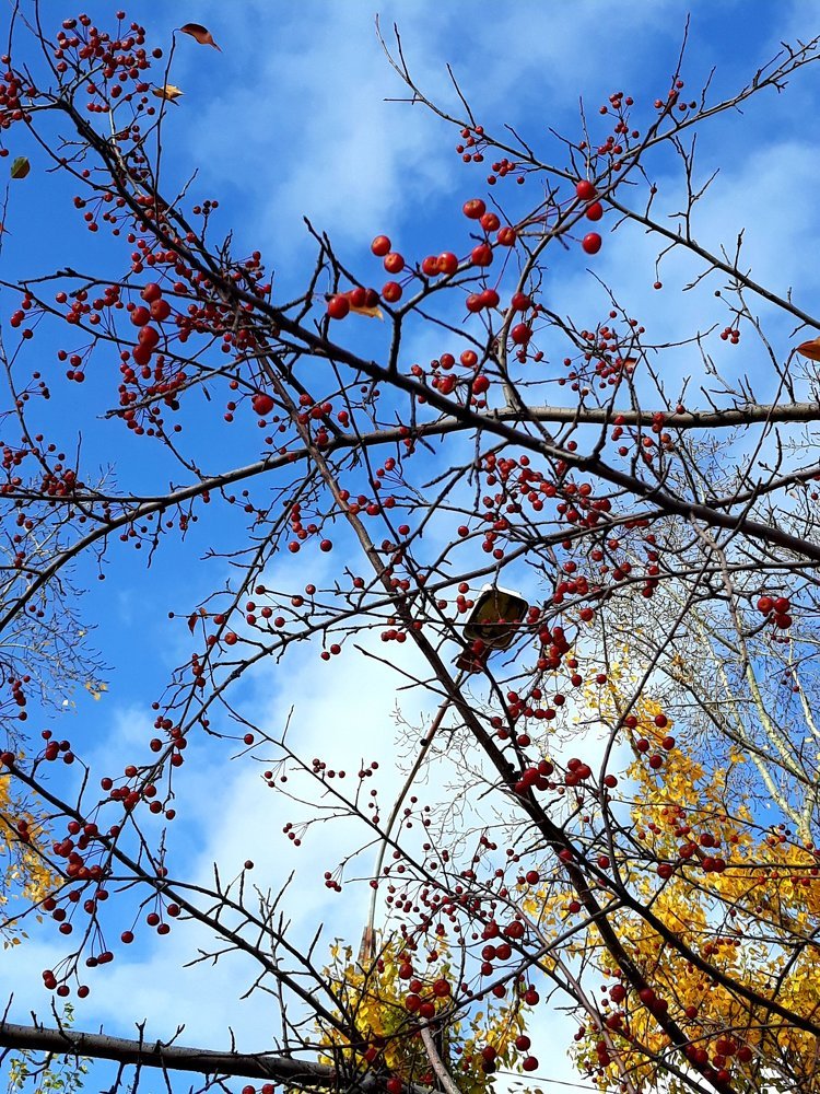 Photograph by Любовь Смолина