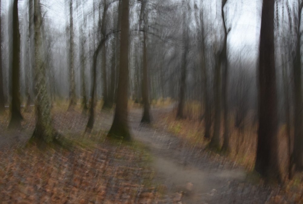 Photograph by Надежда Буаллаг