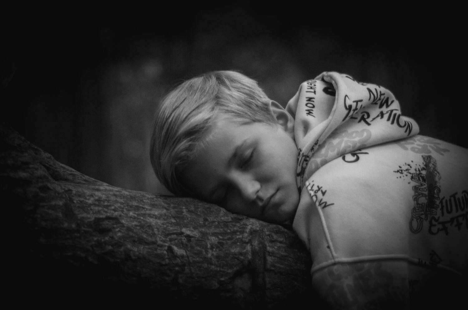 Photo #5233240
