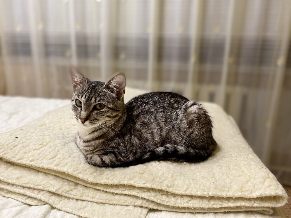 Photograph by Сергей Челахов