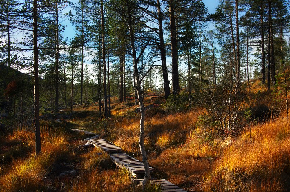 Photograph by Ionika Mink