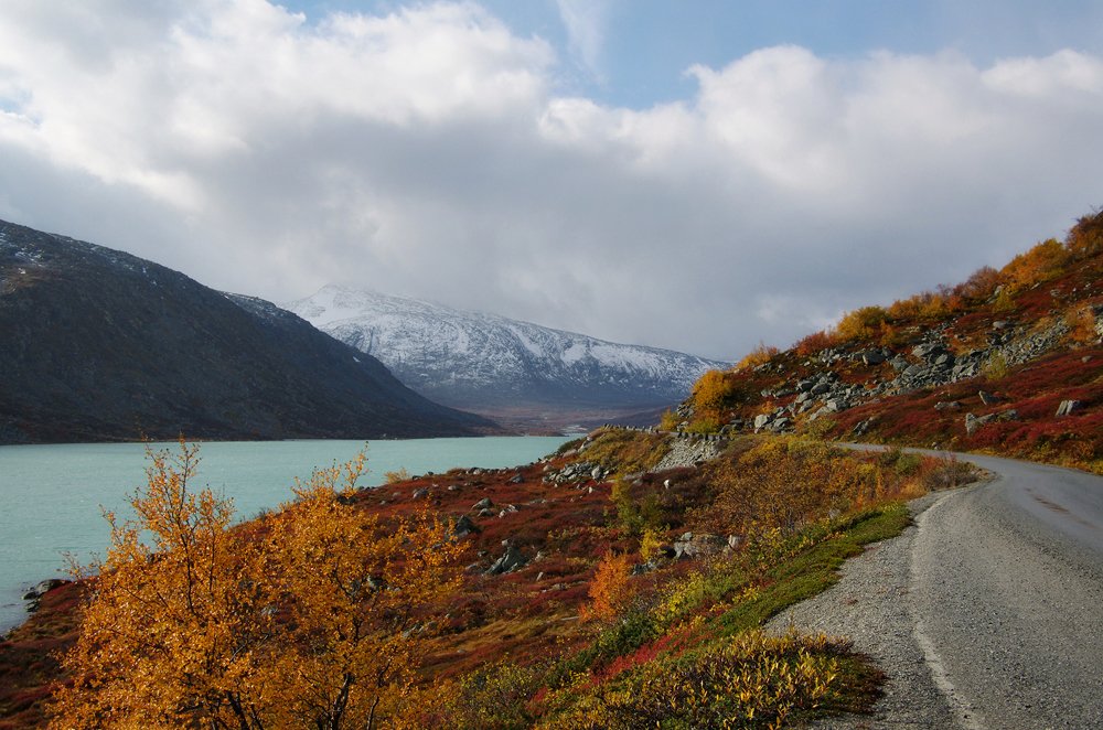 Photograph by Ionika Mink