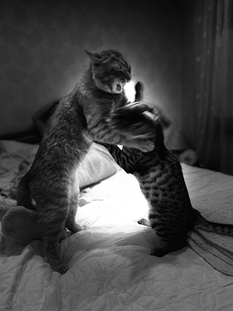 Photograph by Сергей Челахов