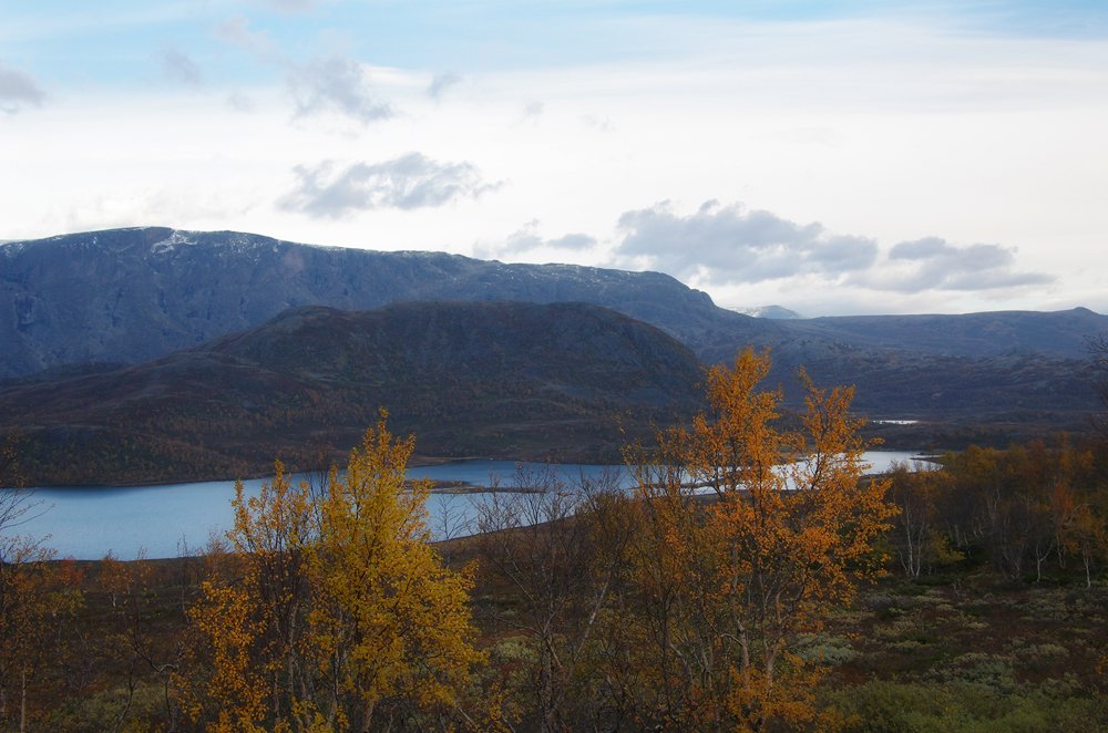 Photograph by Ionika Mink