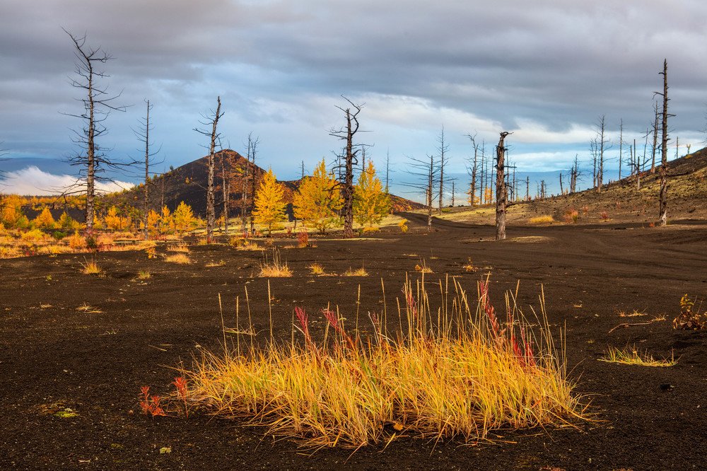 Photograph by Alfia Safuanova